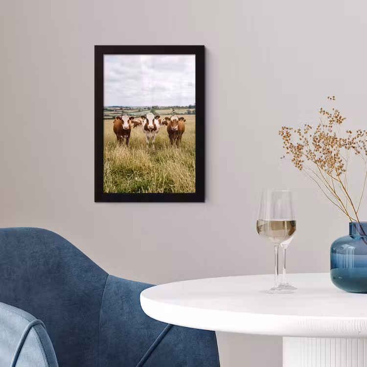Poster met lijst - Koeien - Portret - Weide - Boerderij - Nieuwsgierig — 4