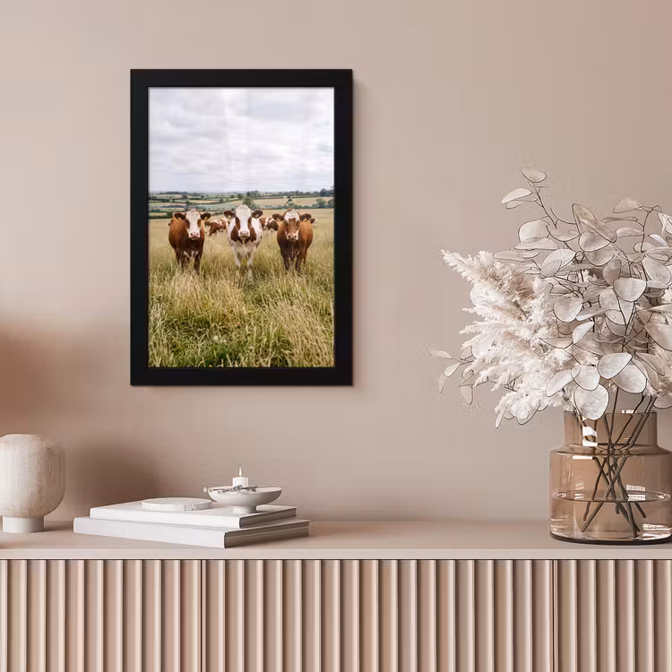 Poster met lijst - Koeien - Portret - Weide - Boerderij - Nieuwsgierig — 5