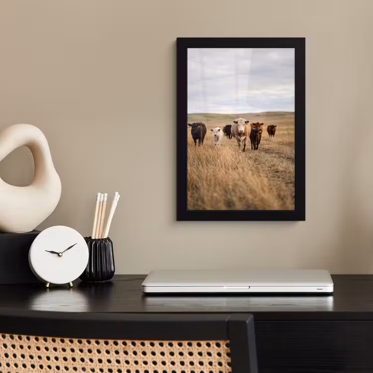 Poster met lijst - Runderen - Kudde - Landschap - Weide - Rustig — 2