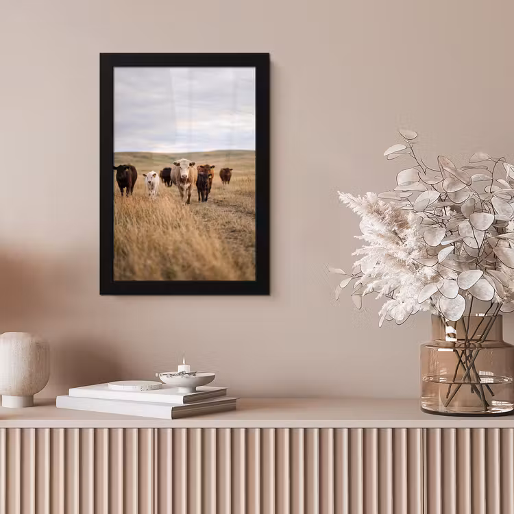 Poster met lijst - Runderen - Kudde - Landschap - Weide - Rustig — 5
