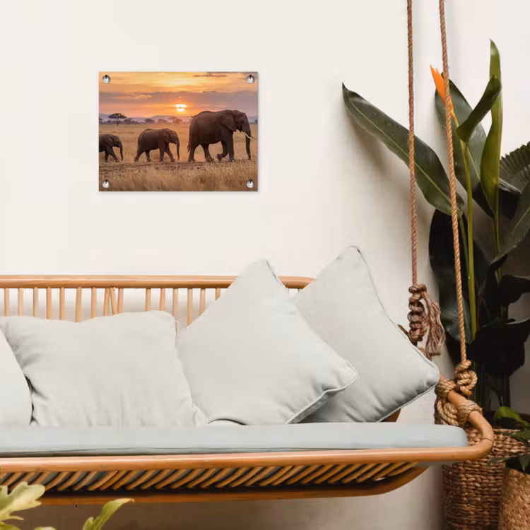Tuinposter - Olifanten - Savanne - Zonsondergang - Afrika - Warm — 5