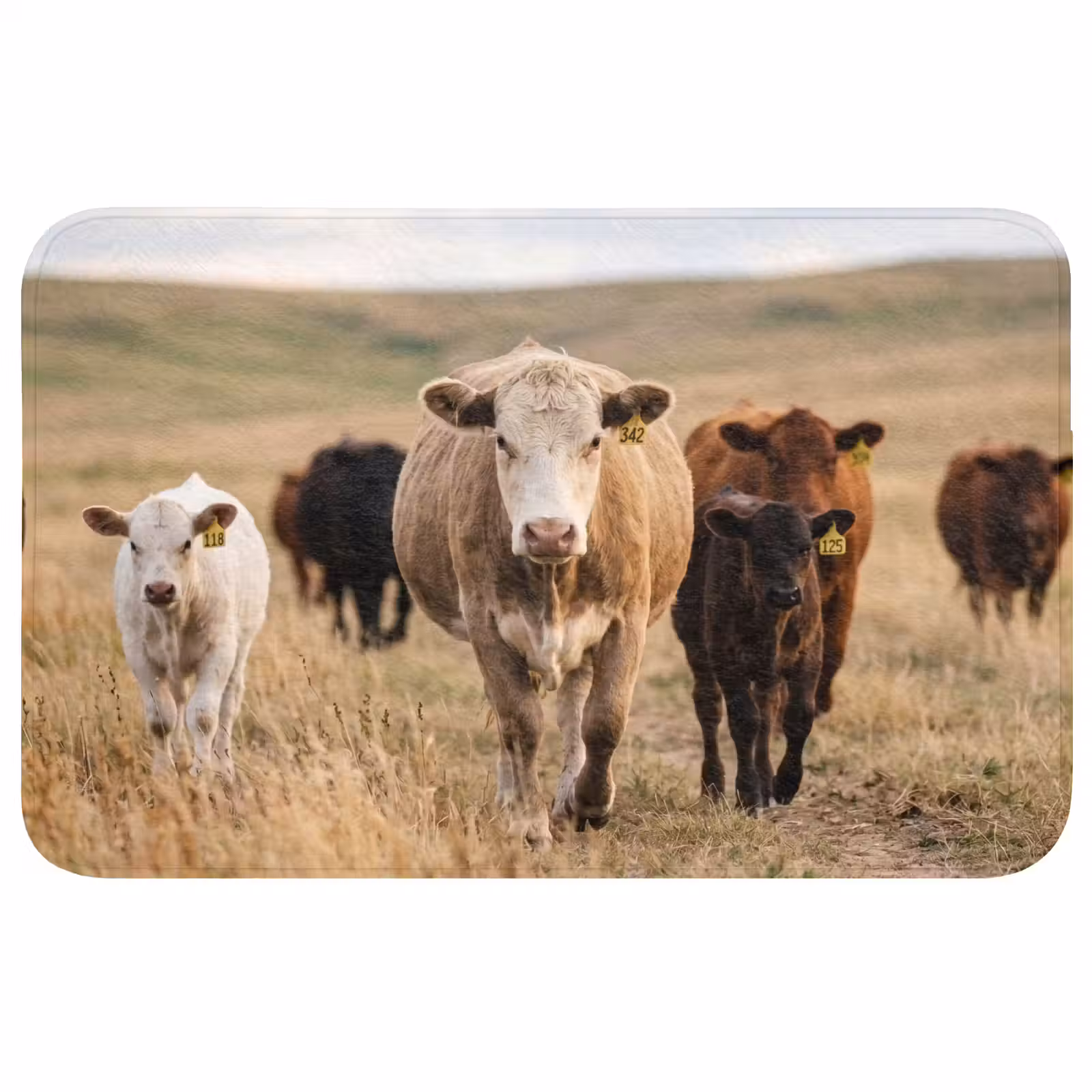Badmat - Runderen - Kudde - Landschap - Weide - Rustig — 1