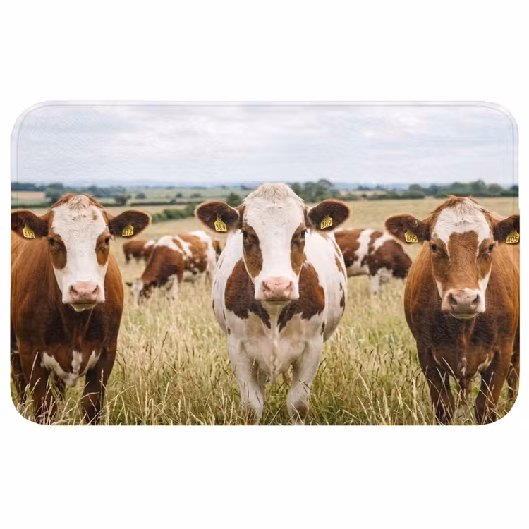 Badmat - Koeien - Portret - Weide - Boerderij - Nieuwsgierig