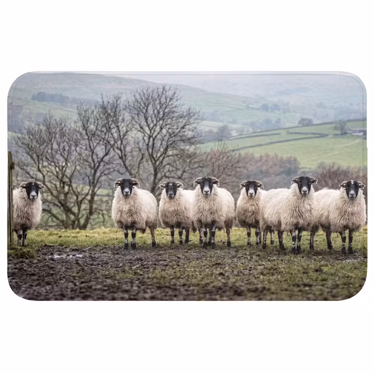Badmat - Schapen - Rij - Weide - Dieren - Platteland