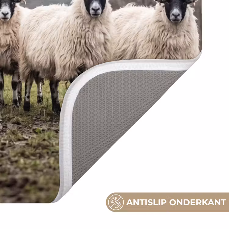 Badmat - Schapen - Rij - Weide - Dieren - Platteland — 3