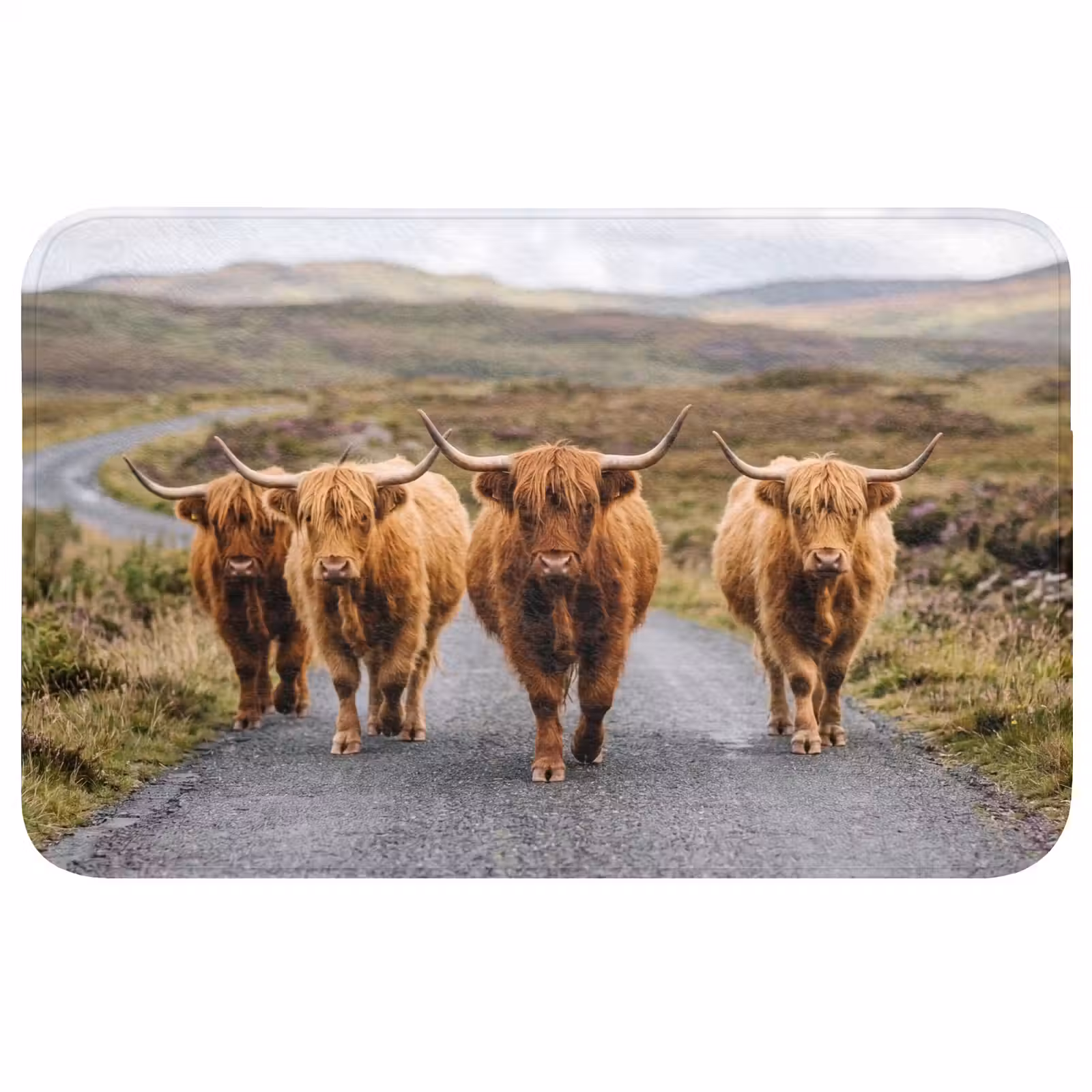 Badmat - Schotse Hooglanders - Weg - Landschap - Kudde — 1