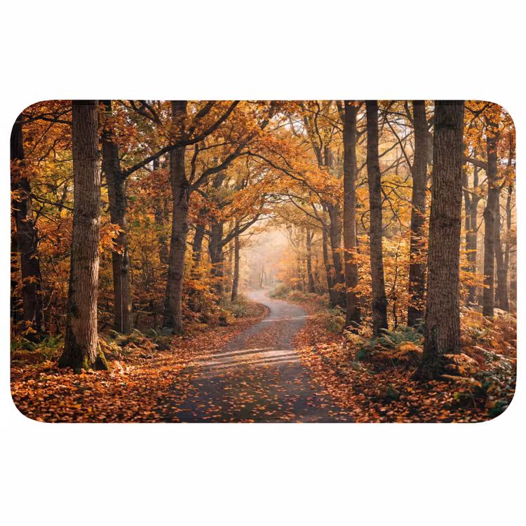 Badmat - Bospad - Herfstbos - Bladeren - Oranje - Nostalgisch
