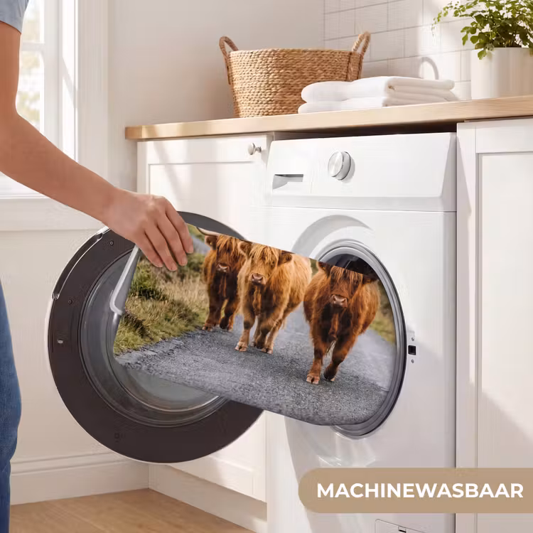 Badmat - Schotse Hooglanders - Weg - Landschap - Kudde — 7