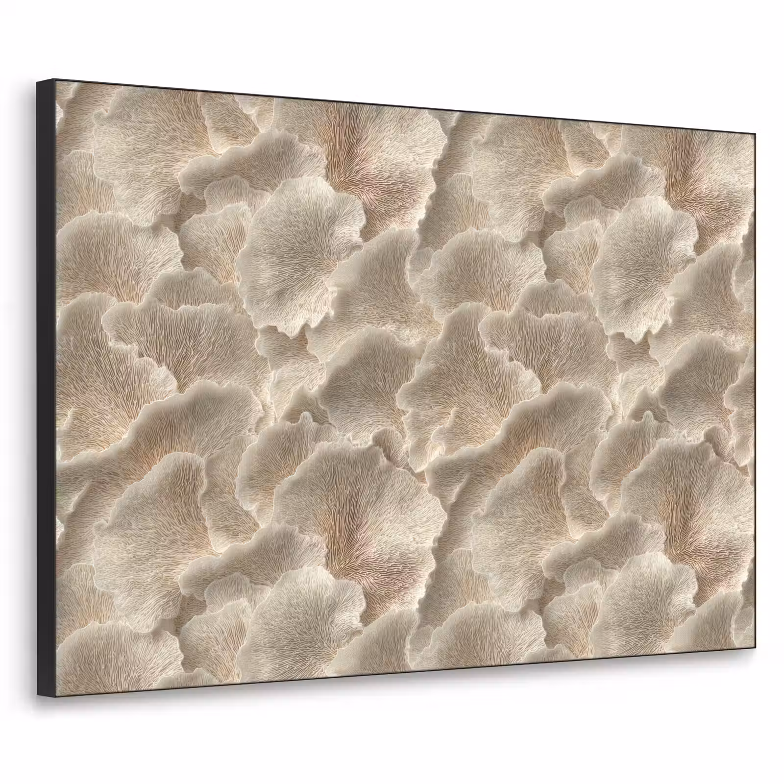Art Frame - Waaierstructuren - Beige - Vezeltextuur — 1