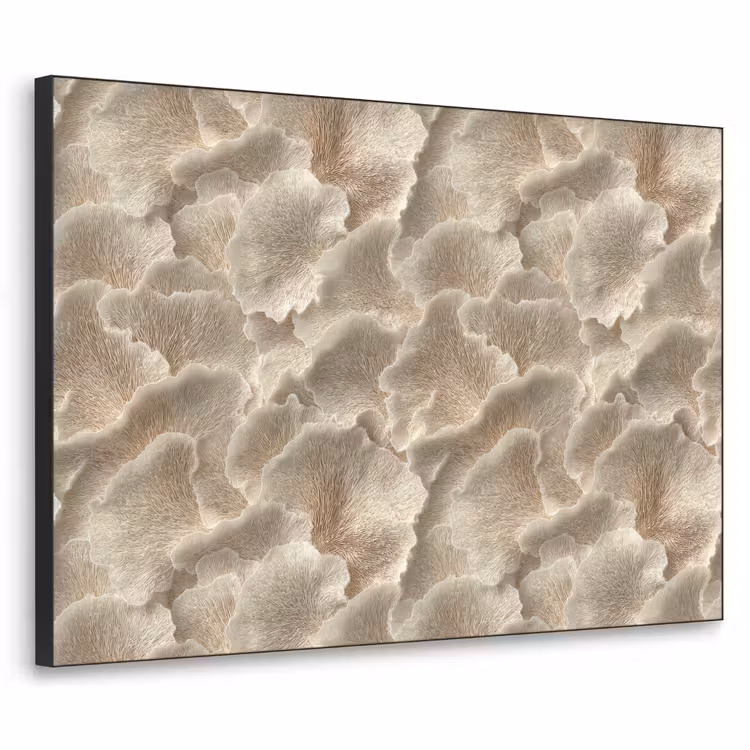 Art Frame - Waaierstructuren - Beige - Vezeltextuur — 1