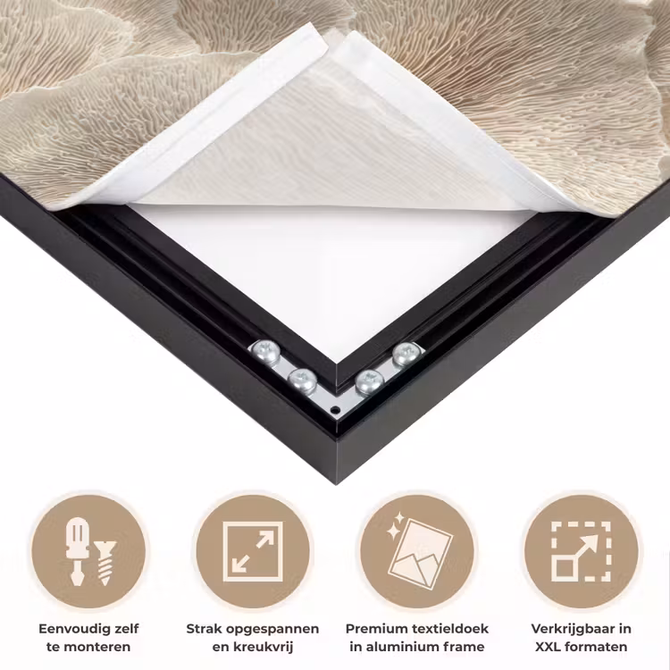 Art Frame - Waaierstructuren - Beige - Vezeltextuur — 8