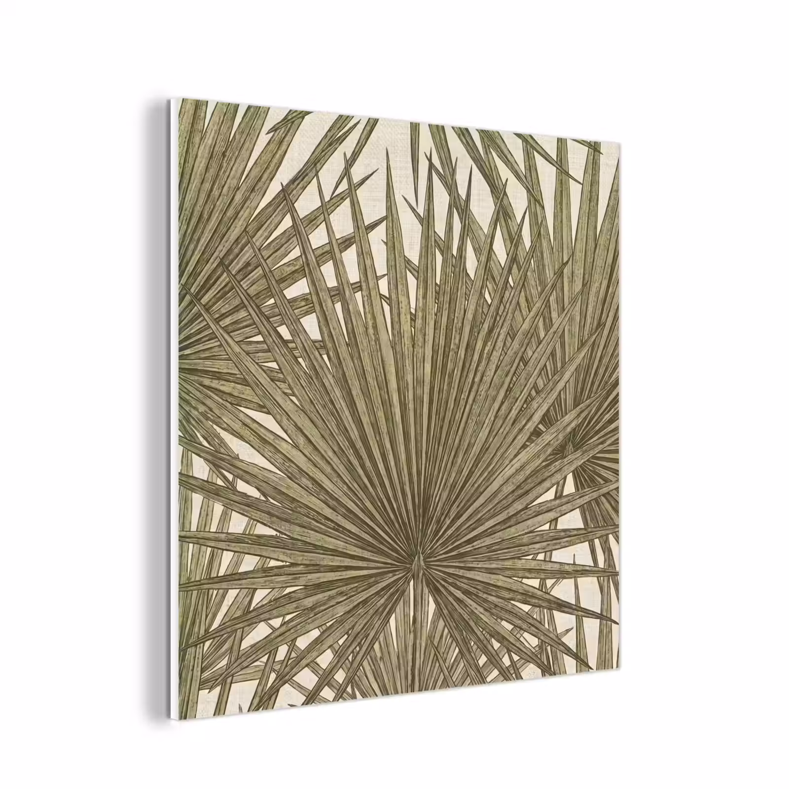 Forex - Blad - Tropisch - Patroon - Natuur - Groen — 1
