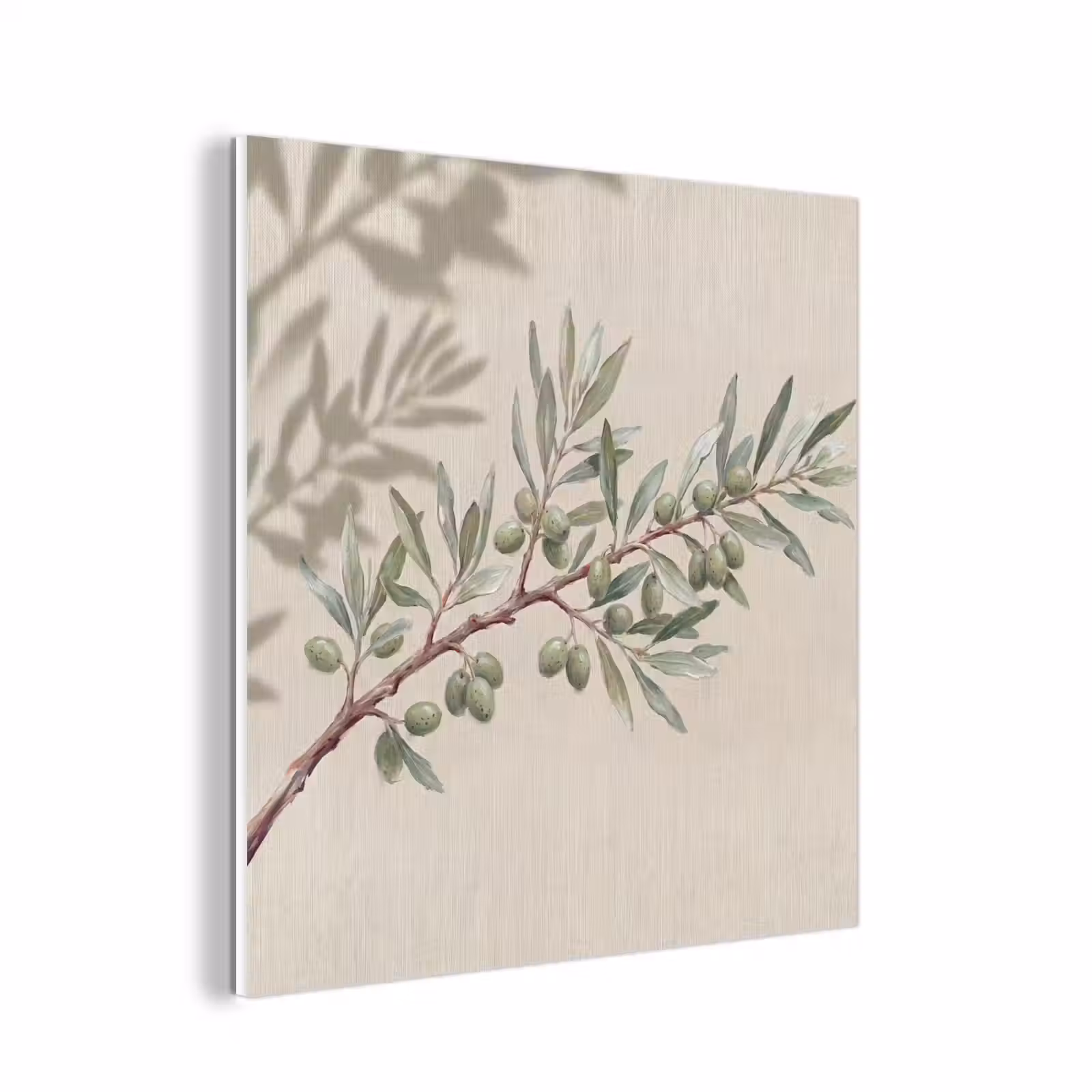 Forex - Olijftak - Bladeren - Natuur - Groen - Beige — 1