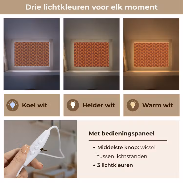 Lightbox - Wandlamp - Waaiers - Art Deco - Botanisch - Roestbruin - Oranje — 7