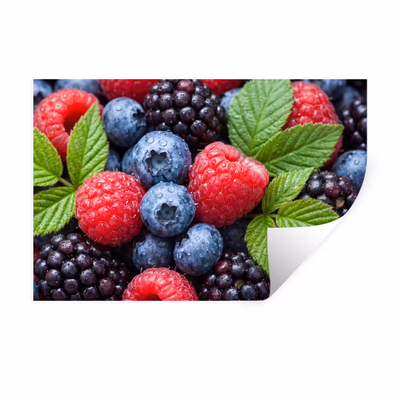Muursticker - Bessen - Vers - Waterdruppels - Kleurrijk - Eten — 1