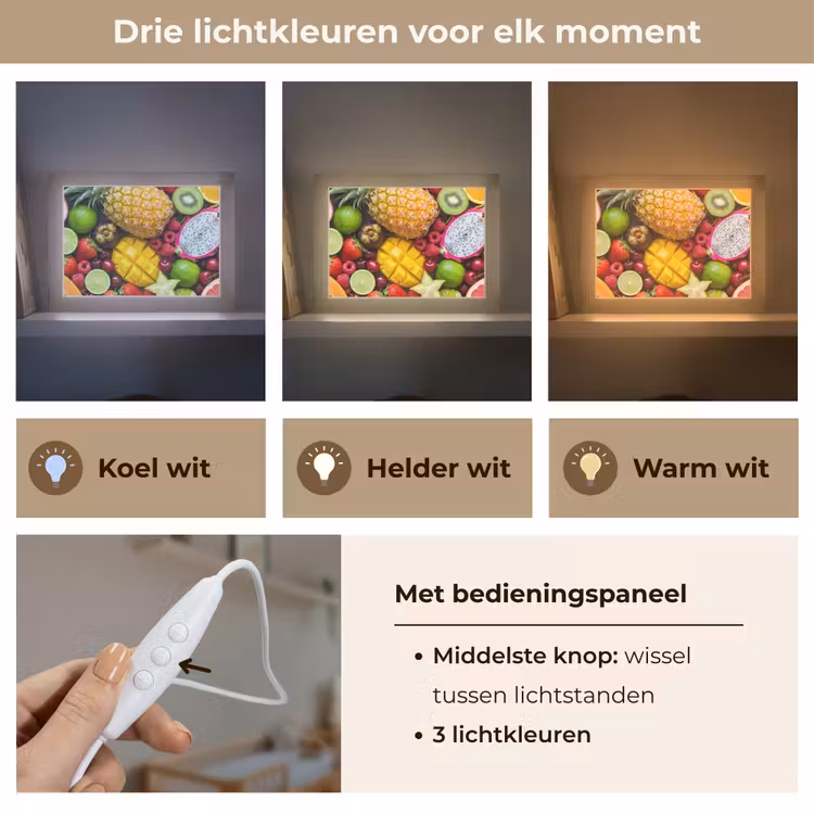 Lightbox - Wandlamp - Fruit - Assortiment - Vers - Gezond - Kleurrijk — 7