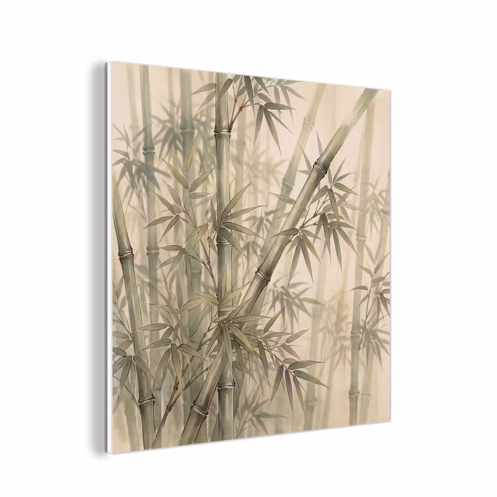 Forex - Bamboe - Bladeren - Aziatisch - Groen - Natuur — 1