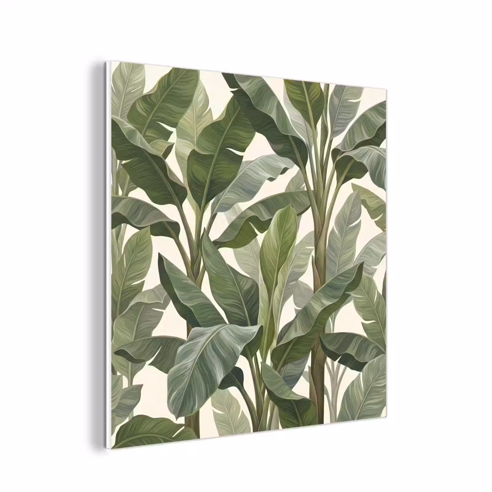 Forex - Planten - Bladeren - Tropisch - Groen — 1