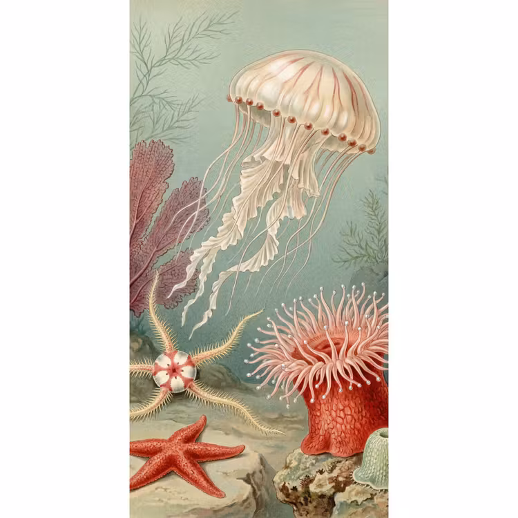 Behang - Zeeleven - Kwal - Onderwater - Illustratie - Beige — 2