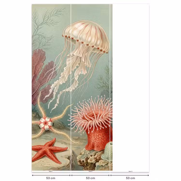 Behang - Zeeleven - Kwal - Onderwater - Illustratie - Beige — 6