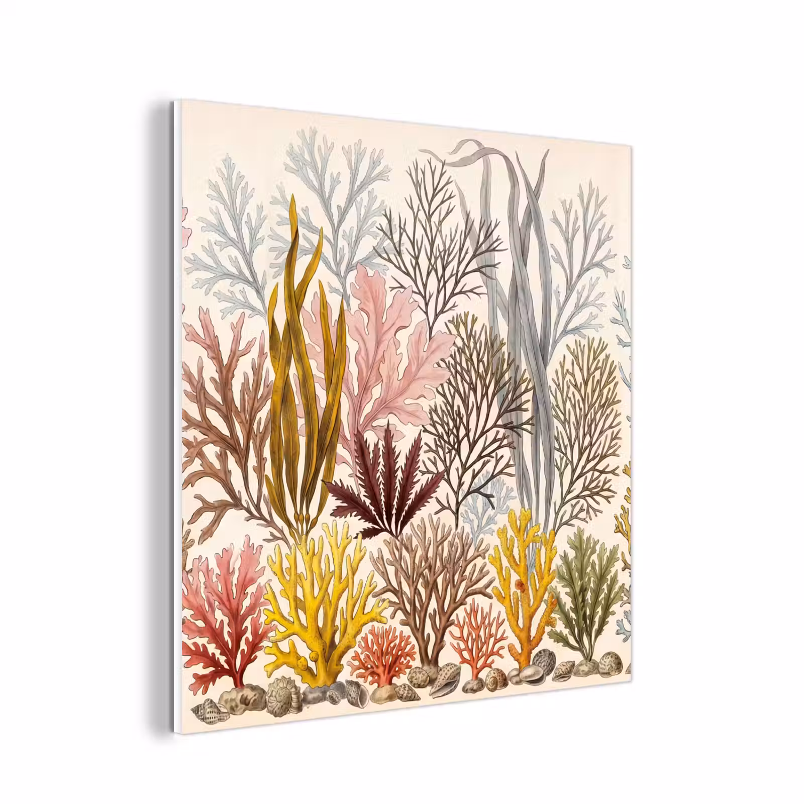 Forex - Natuur - Onderwater - Botanisch - Vintage - Kleurrijk — 1
