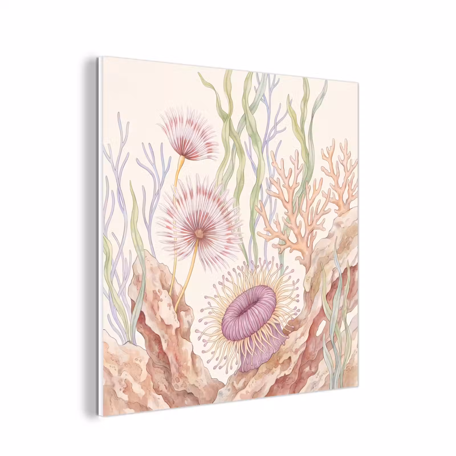 Forex - Zeeleven - Koraal - Onderwater - Illustratie - Kleurrijk — 1
