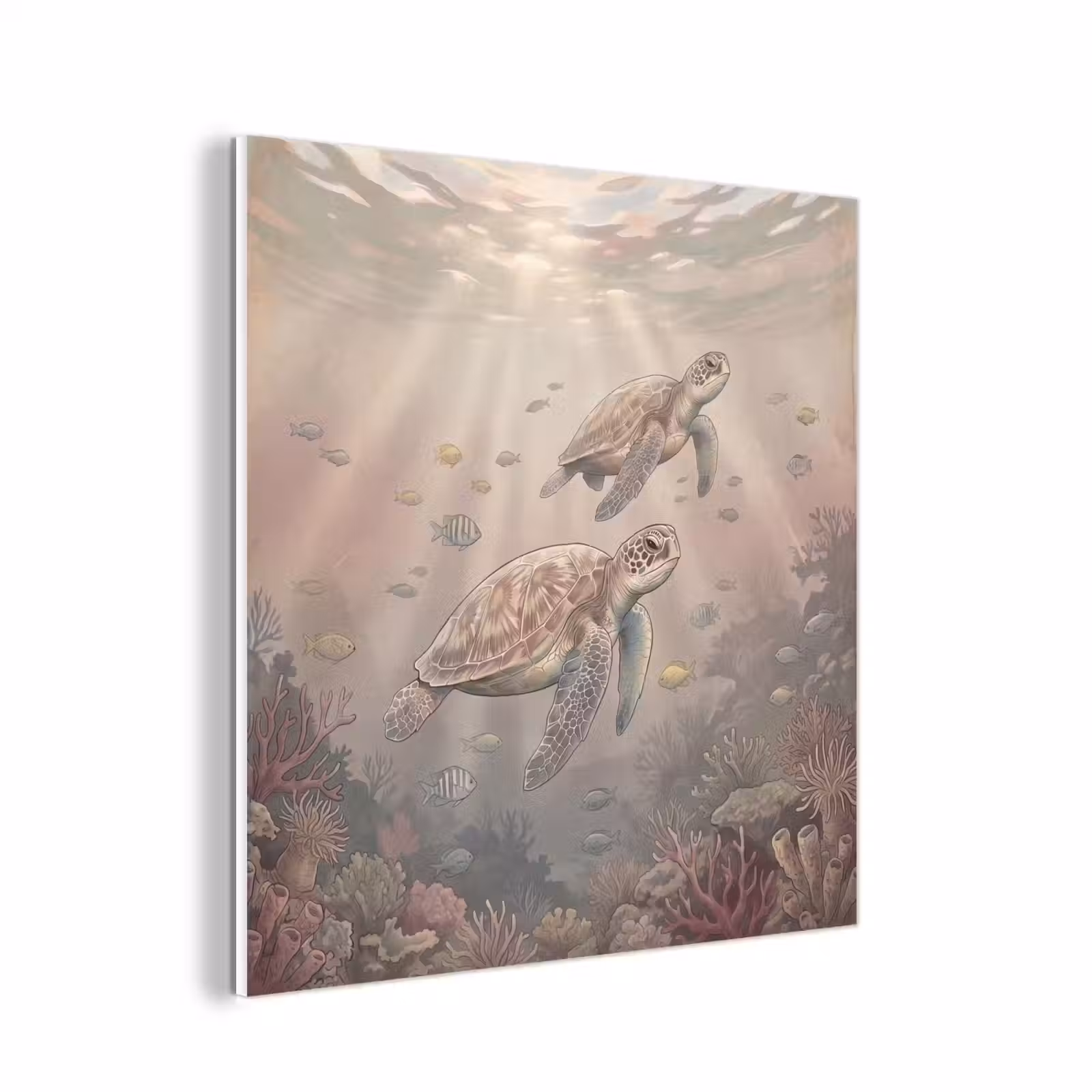 Forex - Dier - Onderwater - Oceaan - Illustratie - Zeeleven — 1