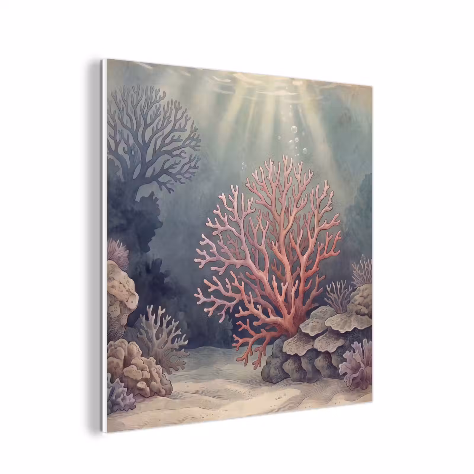 Forex - Koraal - Onderwater - Natuur - Roze — 1