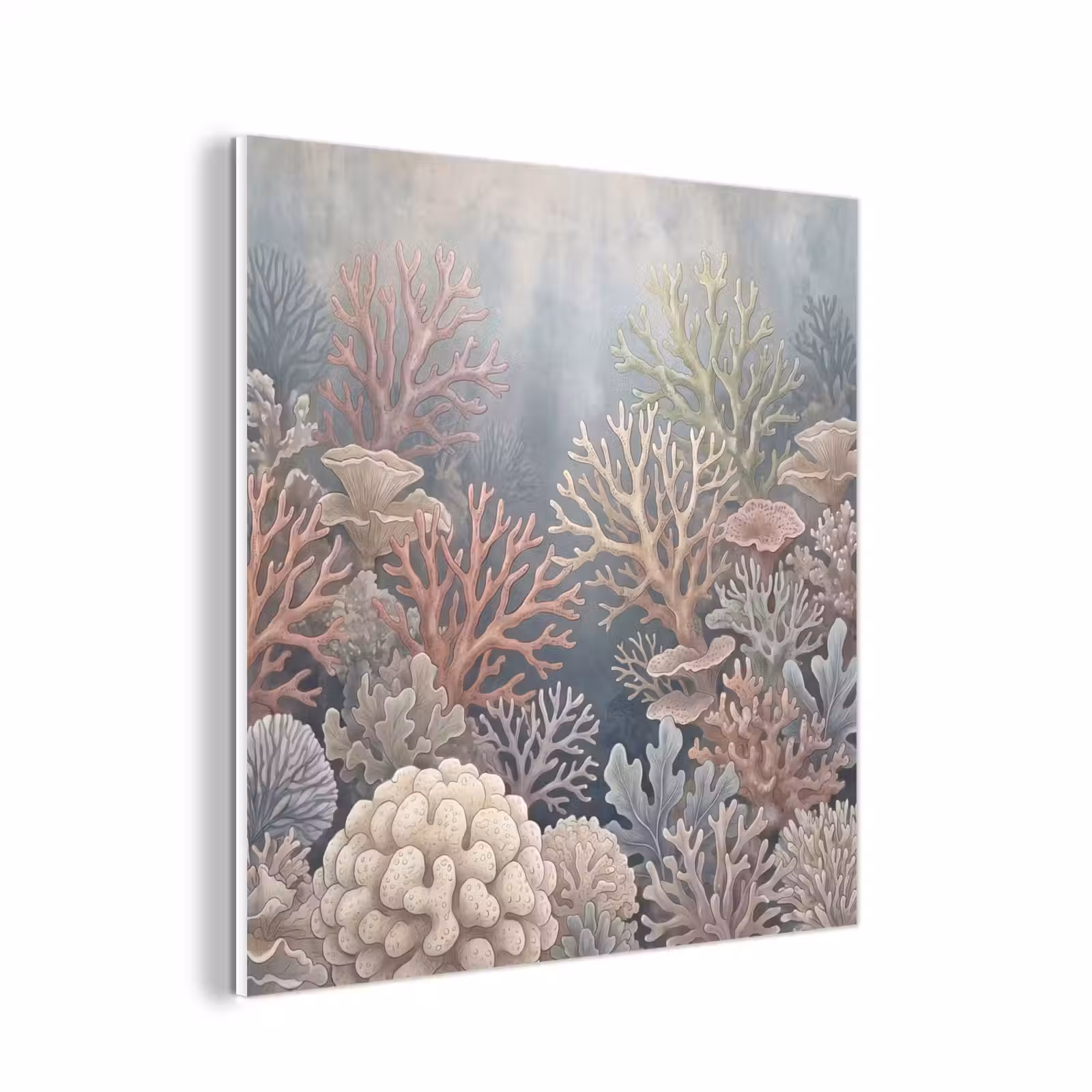 Forex - Koraal - Zeeleven - Onderwater - Illustratie - Natuur — 1