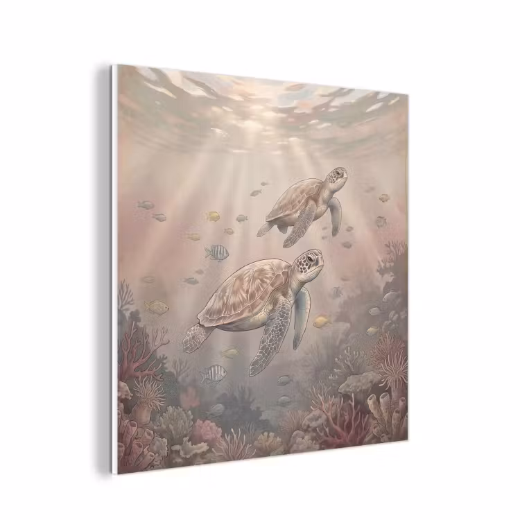 Forex - Dier - Onderwater - Oceaan - Illustratie - Zeeleven — 1