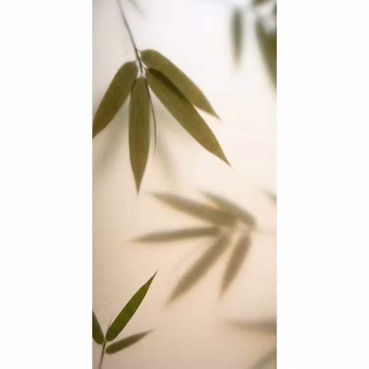 Behang - Planten - Bladeren - Natuur - Groen — 2