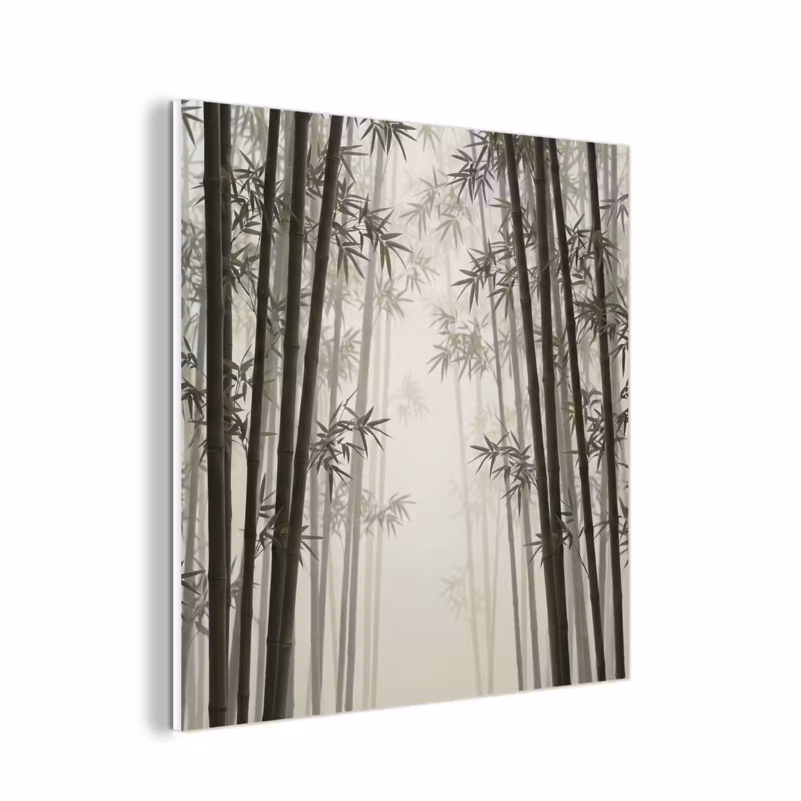 Forex - Bamboe - Bos - Mist - Natuur — 1