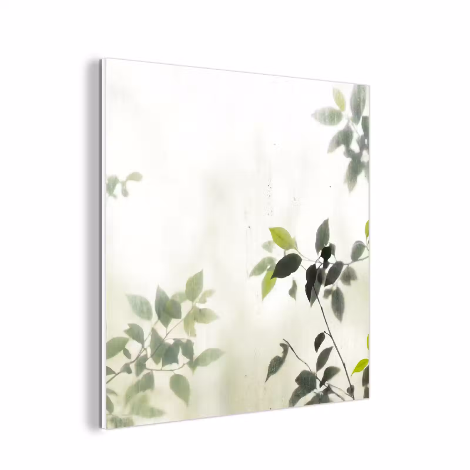 Forex - Blad - Schaduw - Natuur - Abstract - Groen — 1