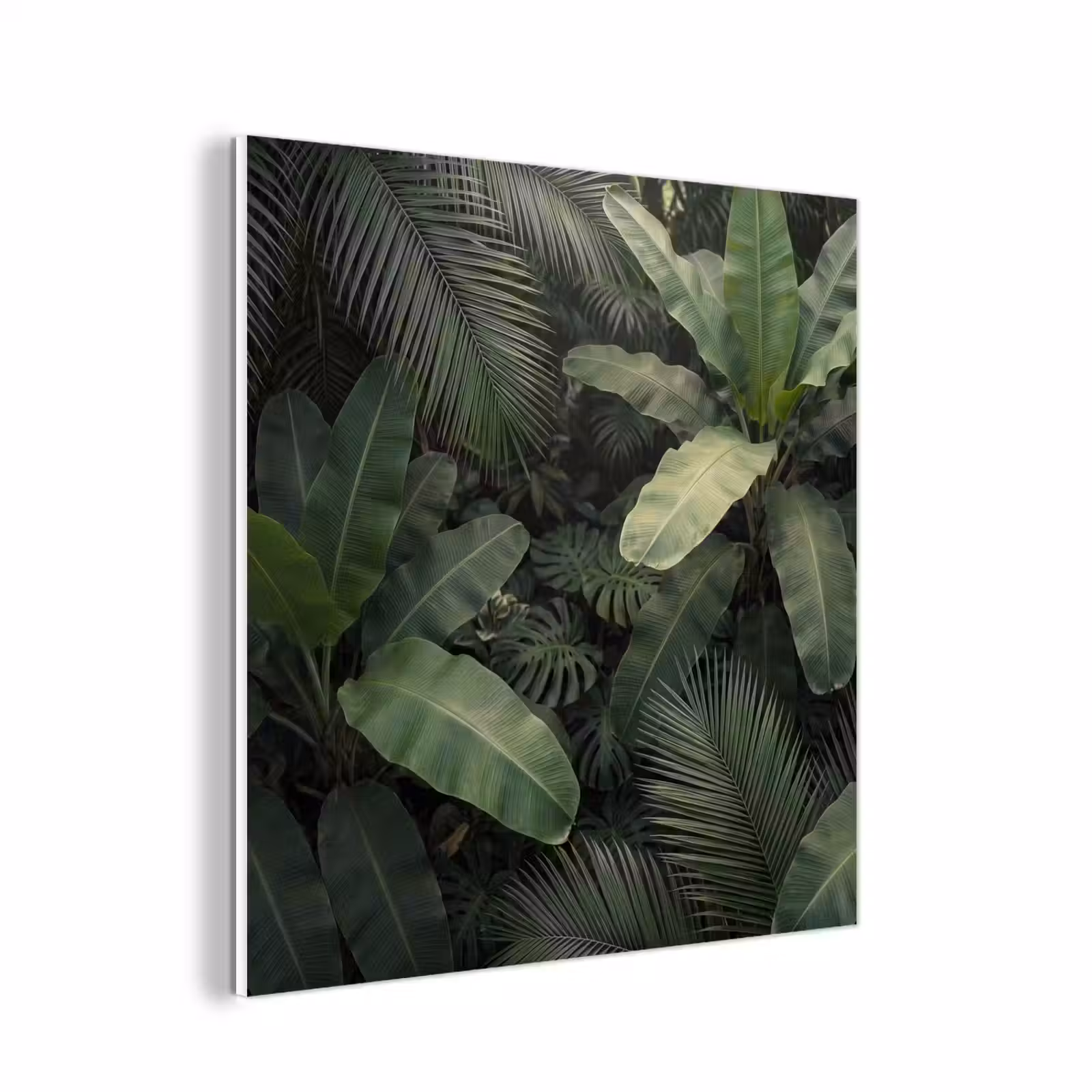 Forex - Bladeren - Groen - Tropisch - Natuur — 1
