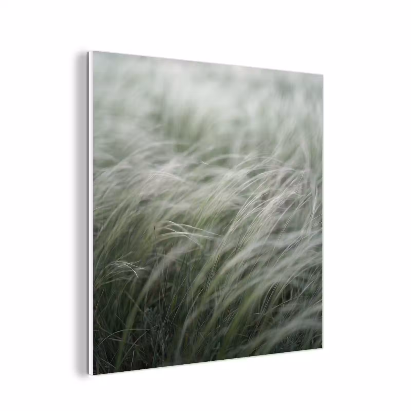 Forex - Gras - Wazig - Natuur - Groen - Zacht — 1