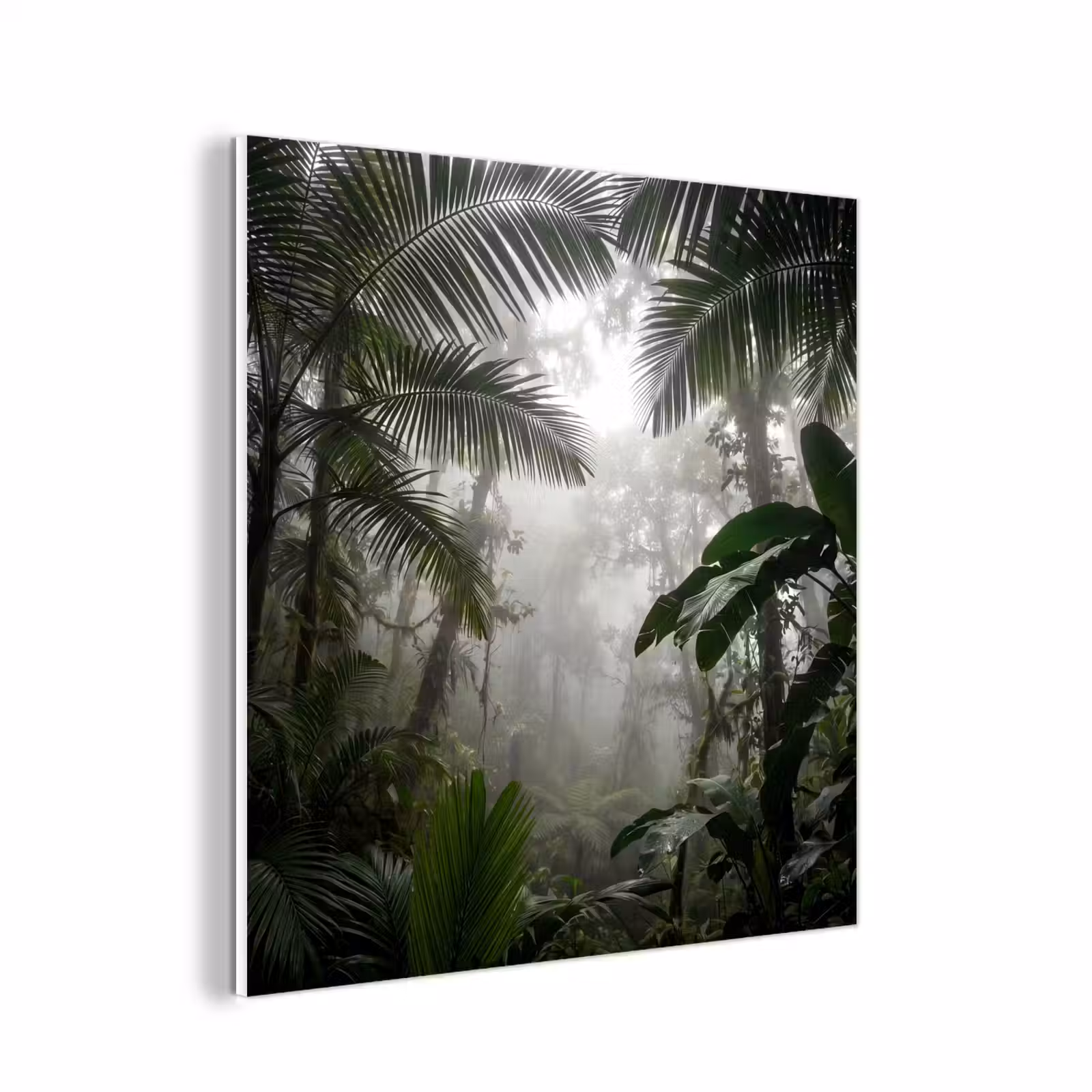 Forex - Natuur - Jungle - Mist - Groen - Bladeren — 1
