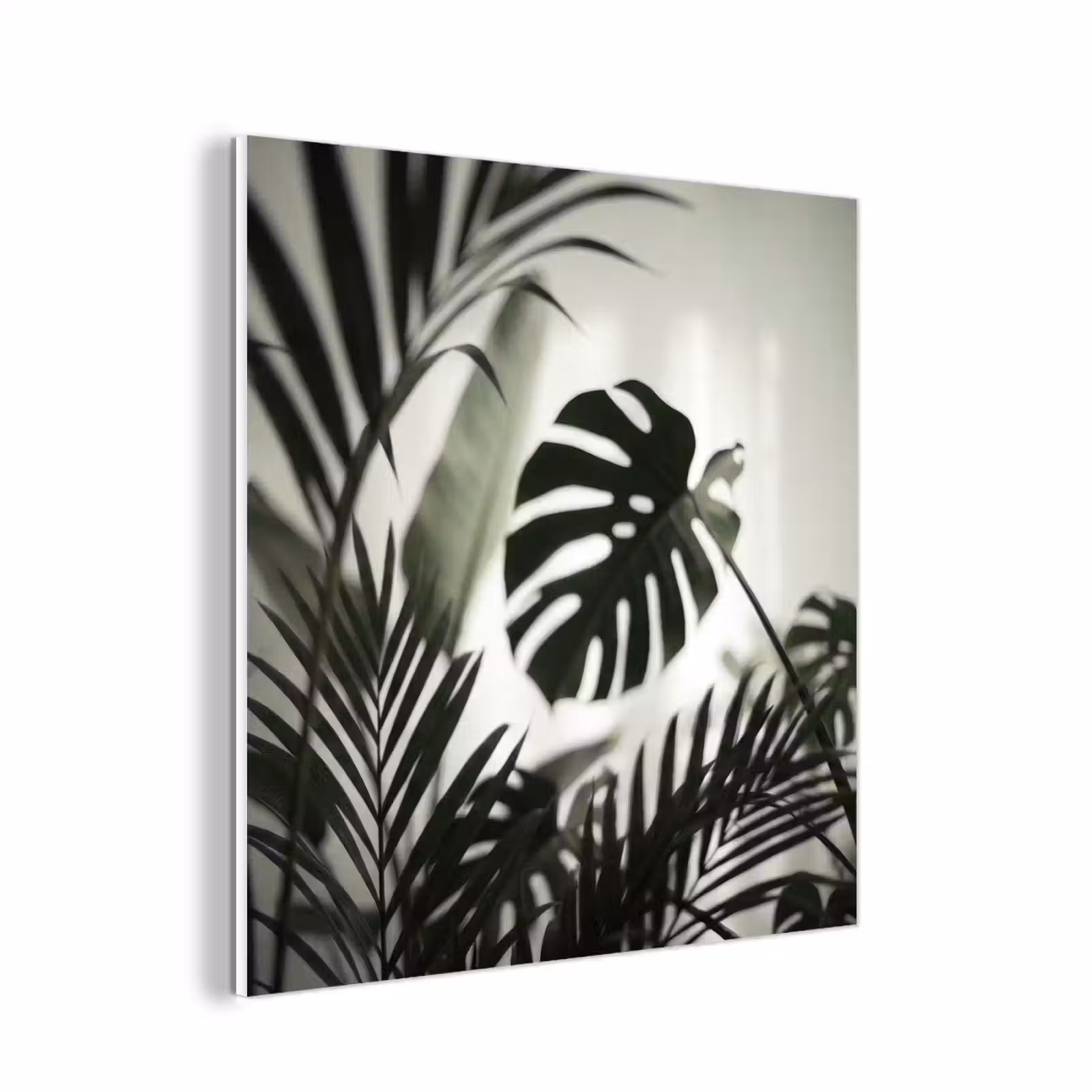 Forex - Planten - Bladeren - Natuur - Minimalistisch - Groen — 1