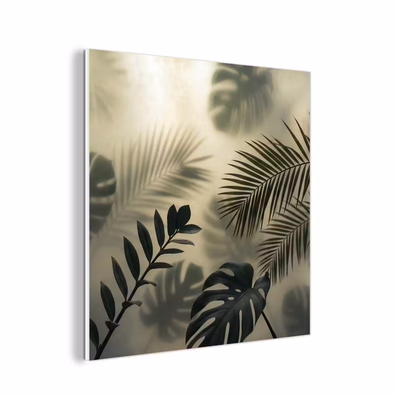 Forex - Planten - Bladeren - Schaduwen - Groen - Modern — 1