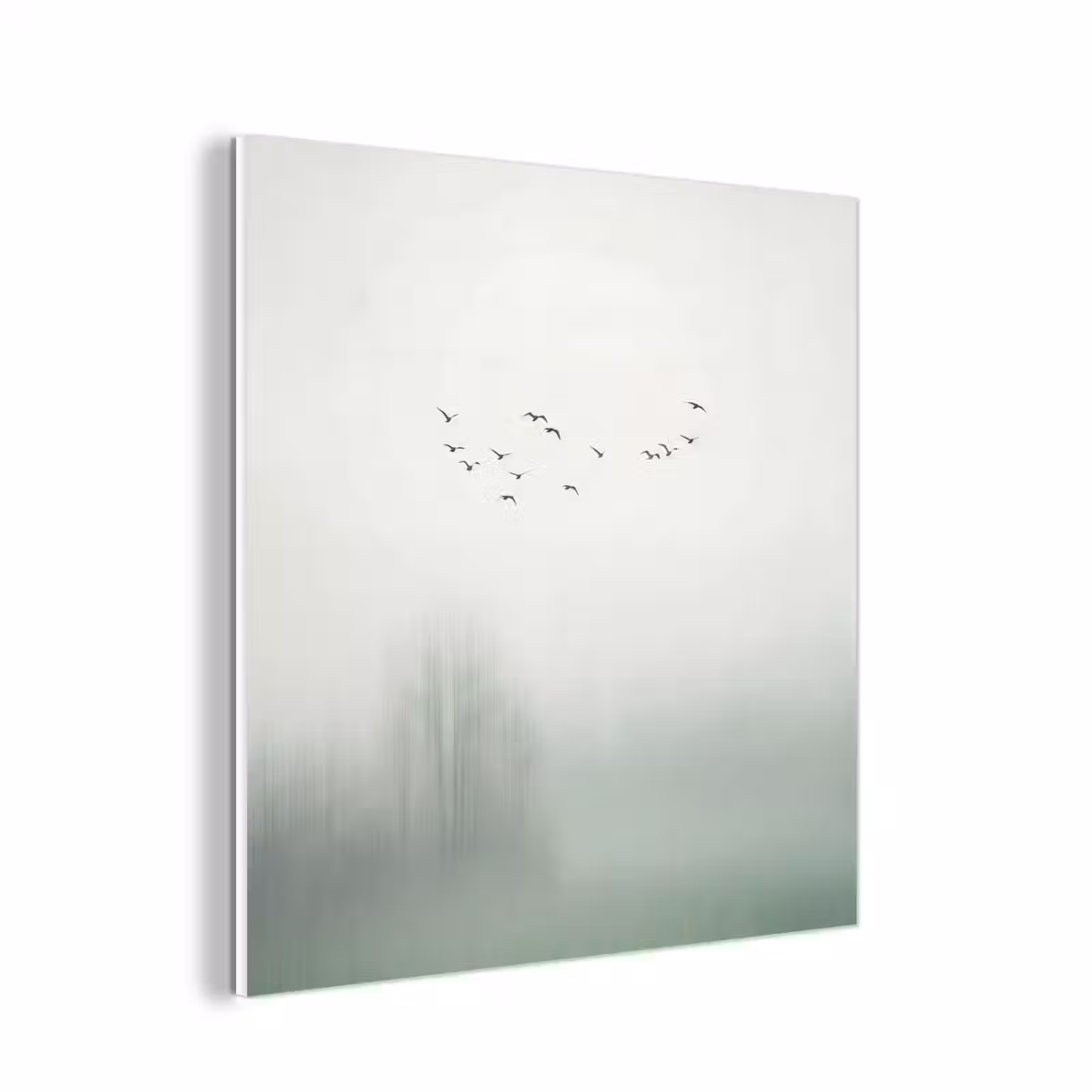 Forex - Vogel - Vlucht - Natuur - Minimalistisch — 1