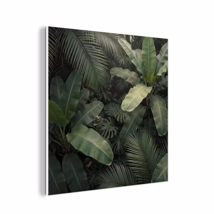 Forex - Bladeren - Groen - Tropisch - Natuur — 1