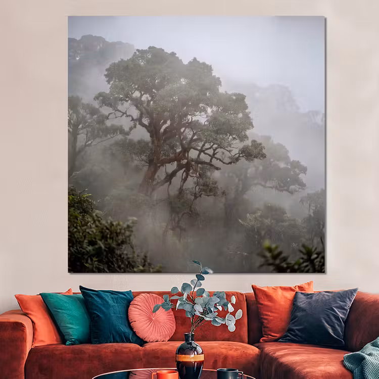 Forex - Boom - Mistig - Bos - Groen - Natuur — 3