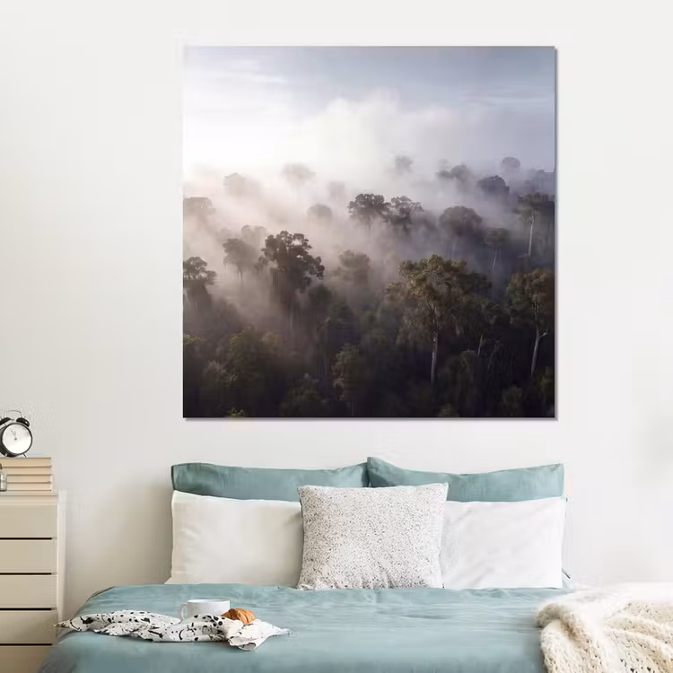 Forex - Bos - Mist - Natuur - Groen — 2