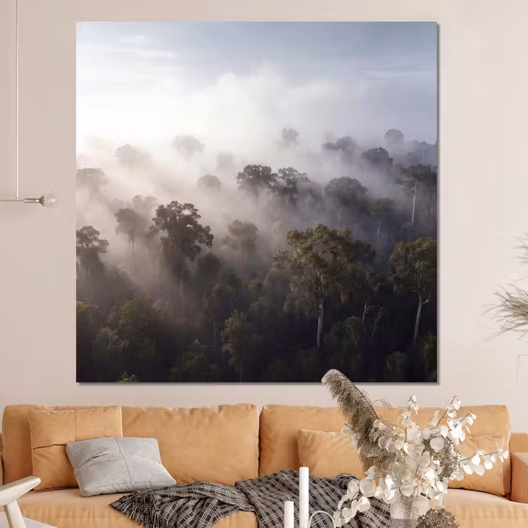Forex - Bos - Mist - Natuur - Groen — 4