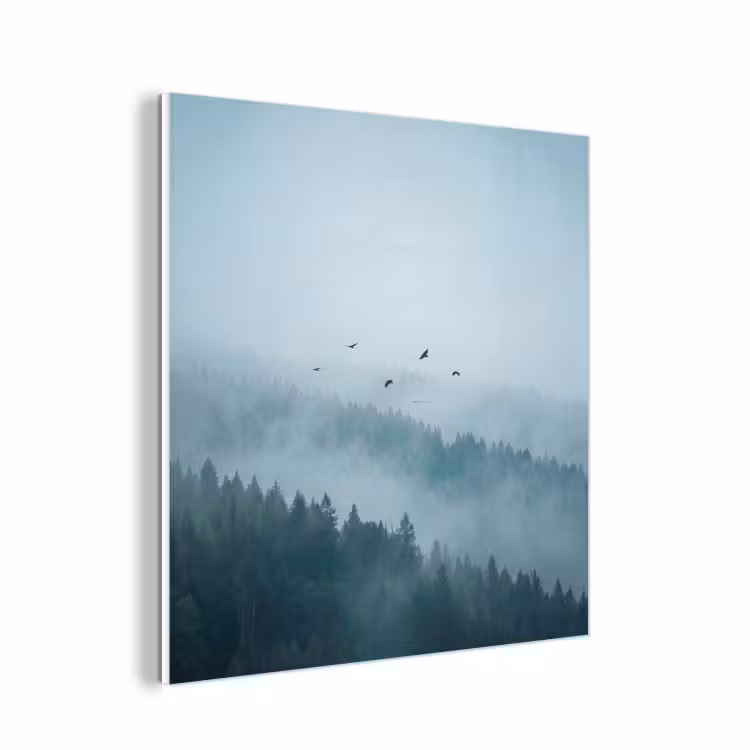 Forex - Bos - Mist - Vogels - Natuur - Groen — 1