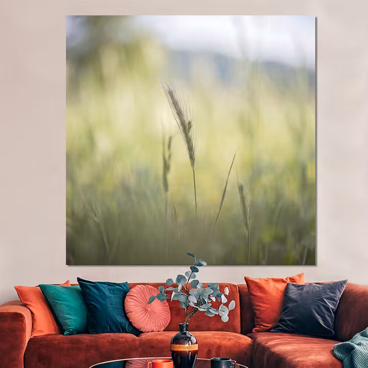 Forex - Graan - Aar - Natuur - Groen - Detail — 3