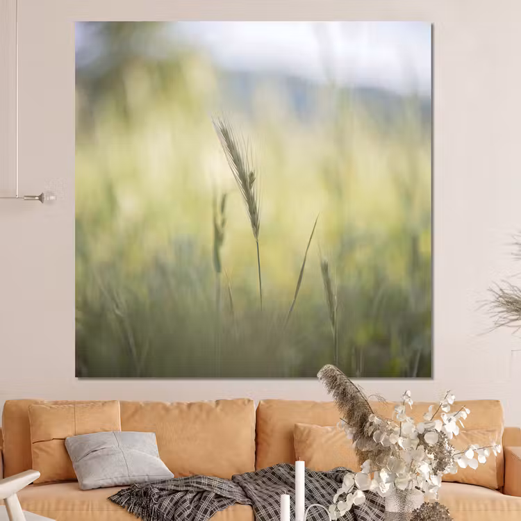 Forex - Graan - Aar - Natuur - Groen - Detail — 4
