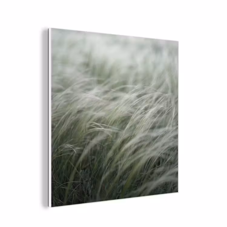 Forex - Gras - Wazig - Natuur - Groen - Zacht — 1
