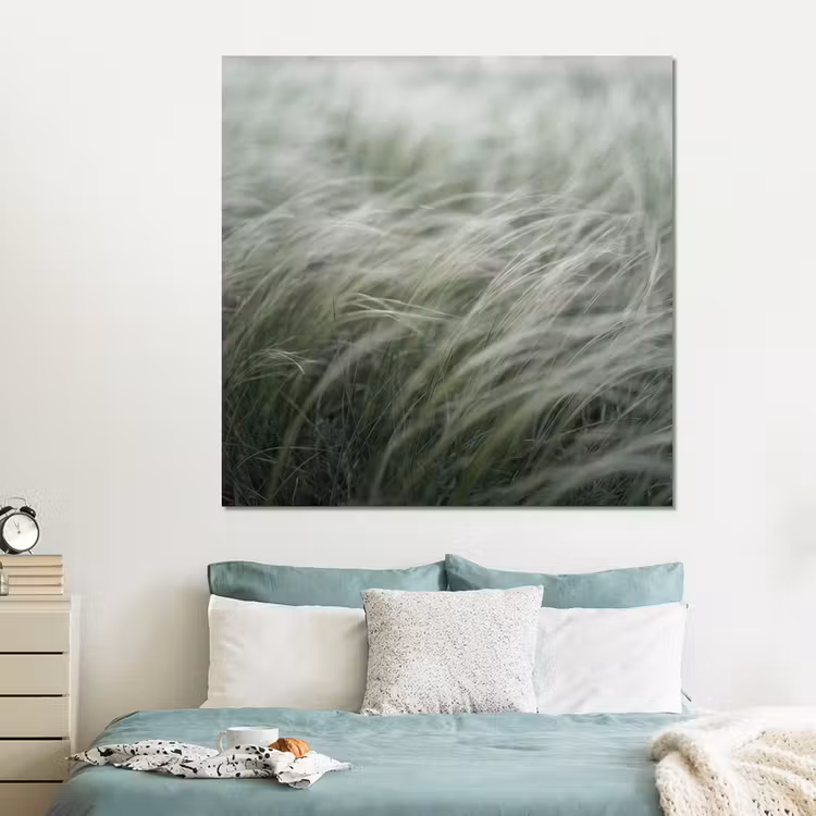 Forex - Gras - Wazig - Natuur - Groen - Zacht — 2