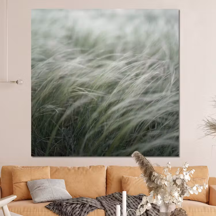 Forex - Gras - Wazig - Natuur - Groen - Zacht — 4