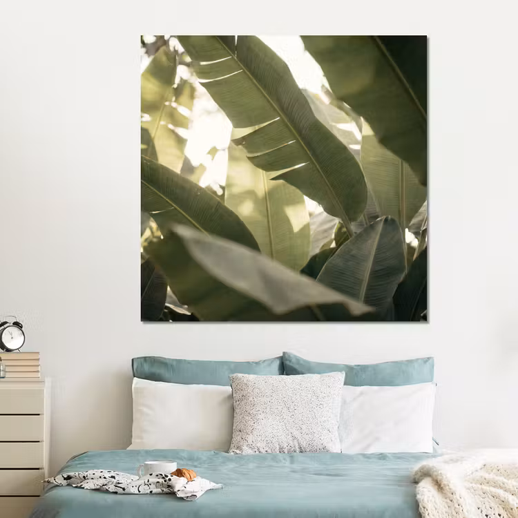 Forex - Natuur - Bladeren - Groen - Tropisch - Detail — 2